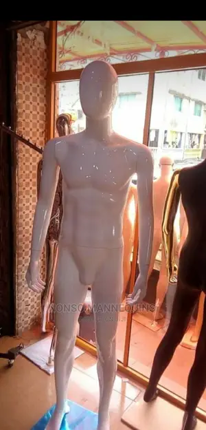 Male Female Display Mannequins Fashion Display Modelss