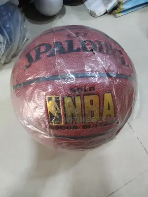 Spalding Basketball 103