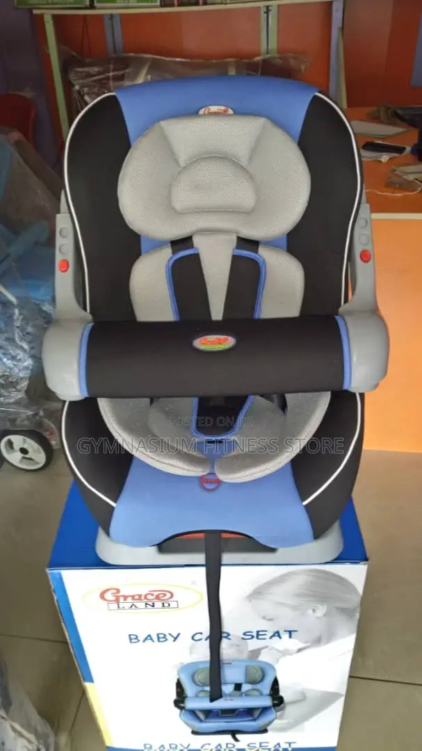 Baby Car Seat Blue Mixed