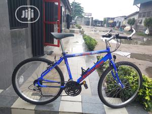 Max Sport Bicycle