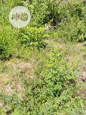 A Plot of Land at Halleluyah Area for Sale