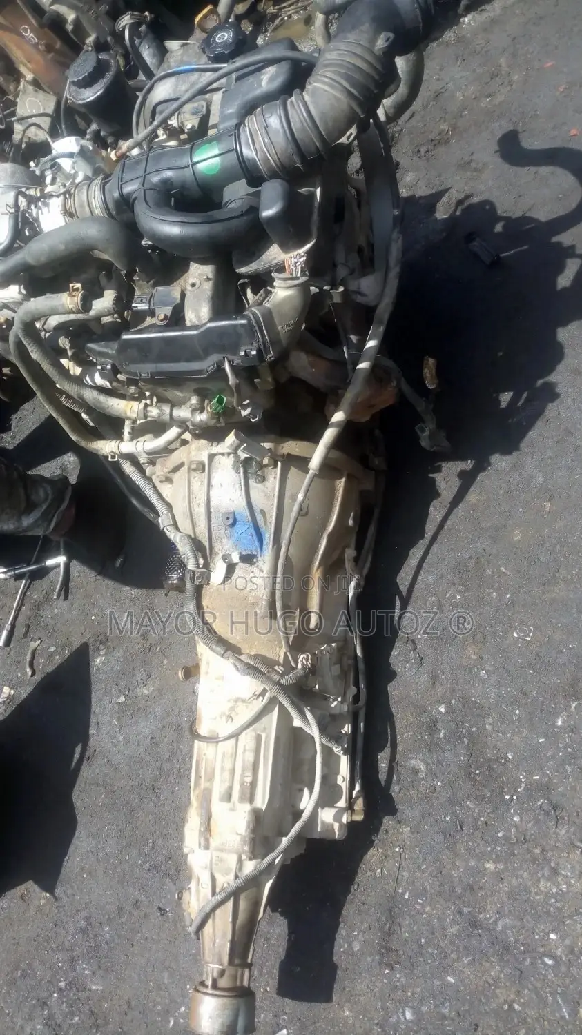 Coaster Bus, Tacoma, Hilux Engine