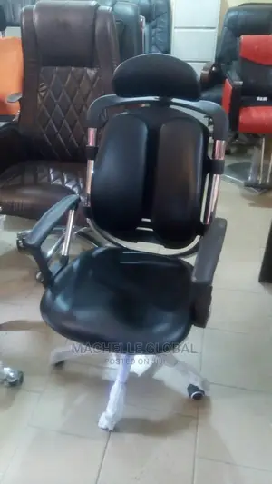 Egonomic Chairs(High Standard Chairs)