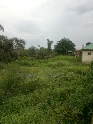 Full Plot of Land for Sale at Igando Egan