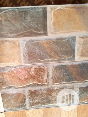 25x50 External Wall Spain Tiles