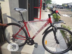 Legacy 29 Inches Sport Bicycle