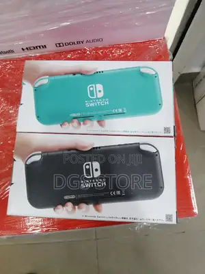 Nintendo Switch Lite Console