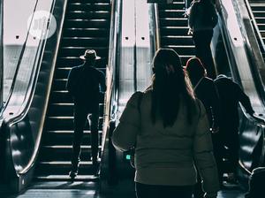 Elevators And Escalators System