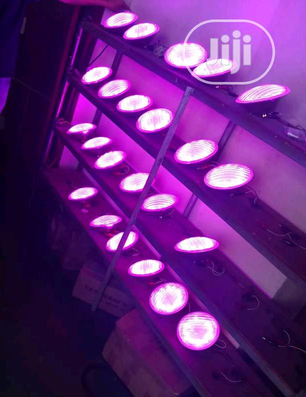 LED Replacement Bulbs