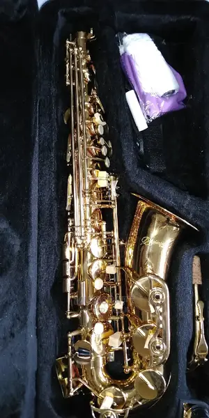 Atlantic PRO Alto Saxophone