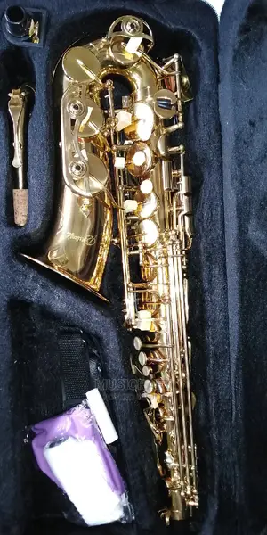 Atlantic PRO Alto Saxophone
