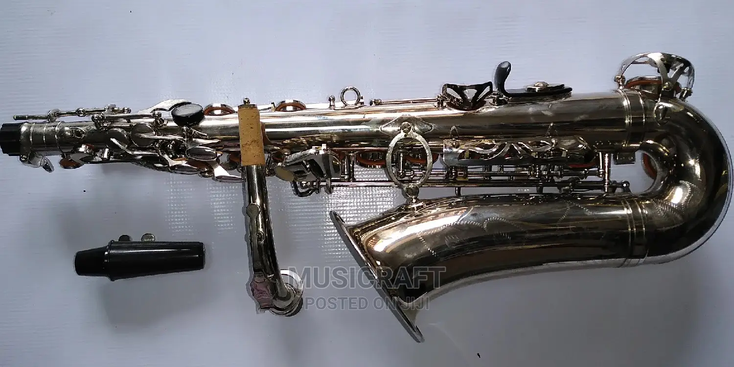 Atlantic PRO Silver Alto Saxophone