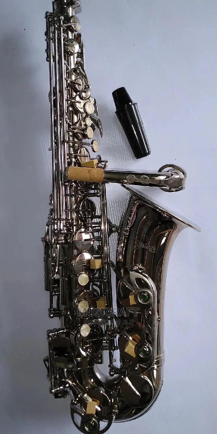 Atlantic PRO Silver Alto Saxophone