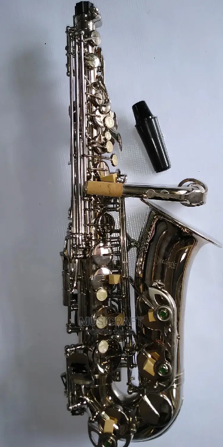 Atlantic PRO Silver Alto Saxophone