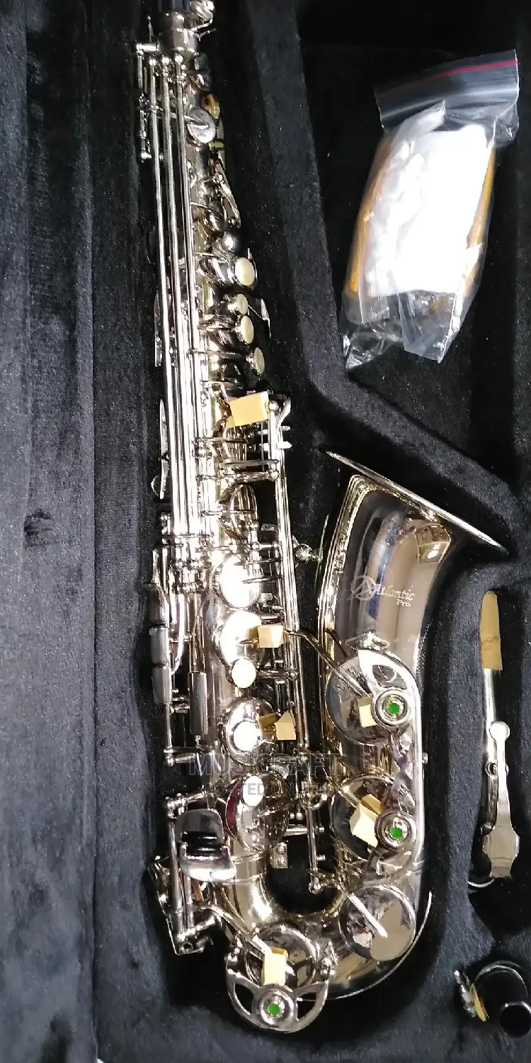 Atlantic PRO Silver Alto Saxophone