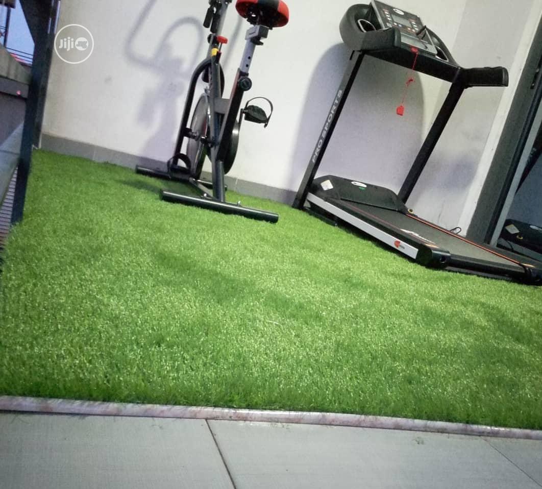 Quality Outdoor Indoor Artificial Grass Carpet.
