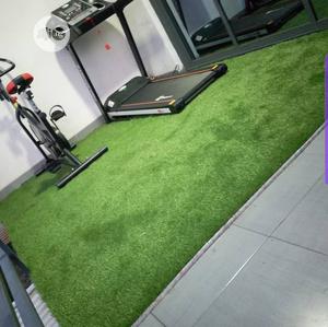 Quality Outdoor Indoor Artificial Grass Carpet.