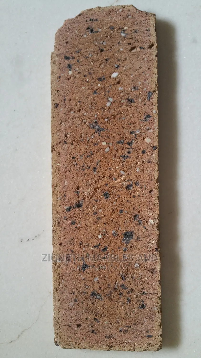 Original South African Brick Wall Tiles