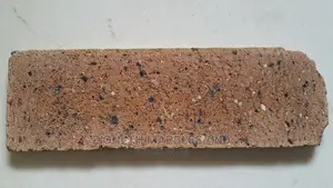 Original South African Brick Wall Tiles
