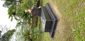 Black Galaxy Granite Slab for Grace Yard
