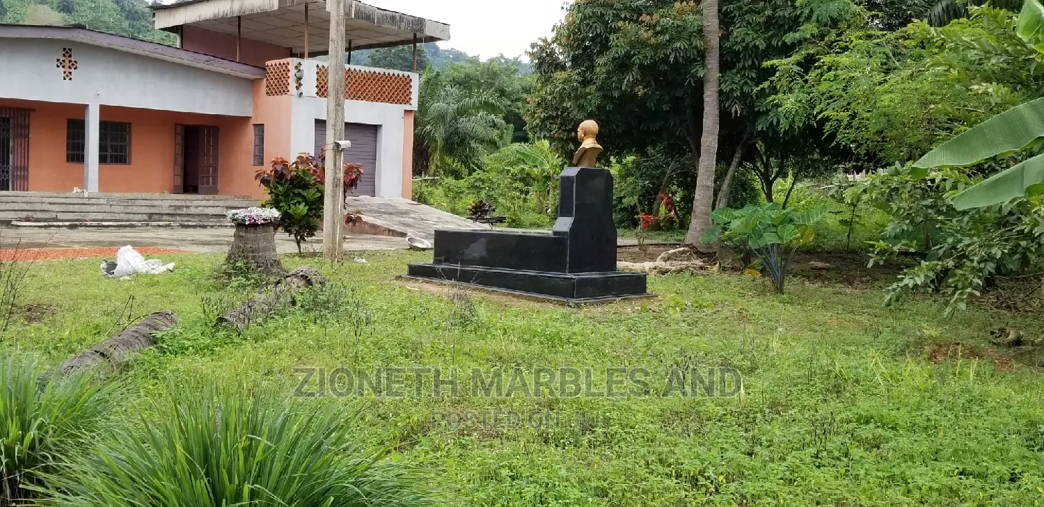 Black Galaxy Granite Slab for Grace Yard