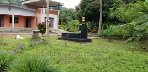 Black Galaxy Granite Slab for Grace Yard