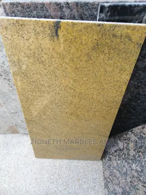Premium Quality Granite/Marble Tiles