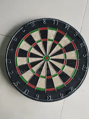 Bristle Dartboard Big