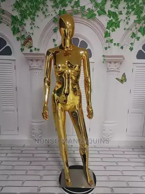 Clothes Mannequins Display