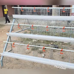 Battery Cage for 120 Layers Available