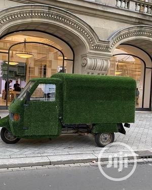 We Cover Cars With Grass Rugs
