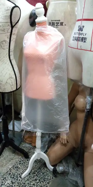 Dressform Displays