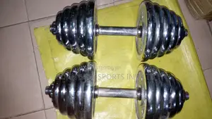 40kg Iron Chrome Dumbells