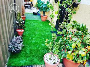 Grass Rugs for Entrance of Compound (Outdoor)