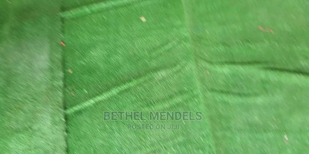 Artificial Grass For Frontyard Design