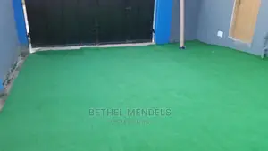 School Environment Artificial Grass In Nigeria