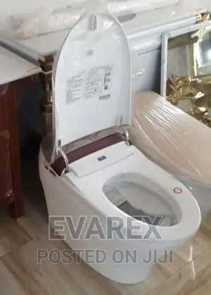 Automatic Censor Water Closet (Wc) With Remote Control