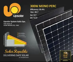 300W Mono Italy