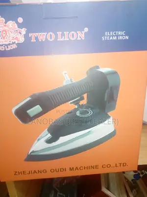 Two Lion Steam Iron