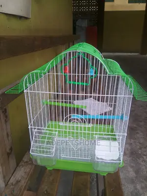 Imported Cages for Sale