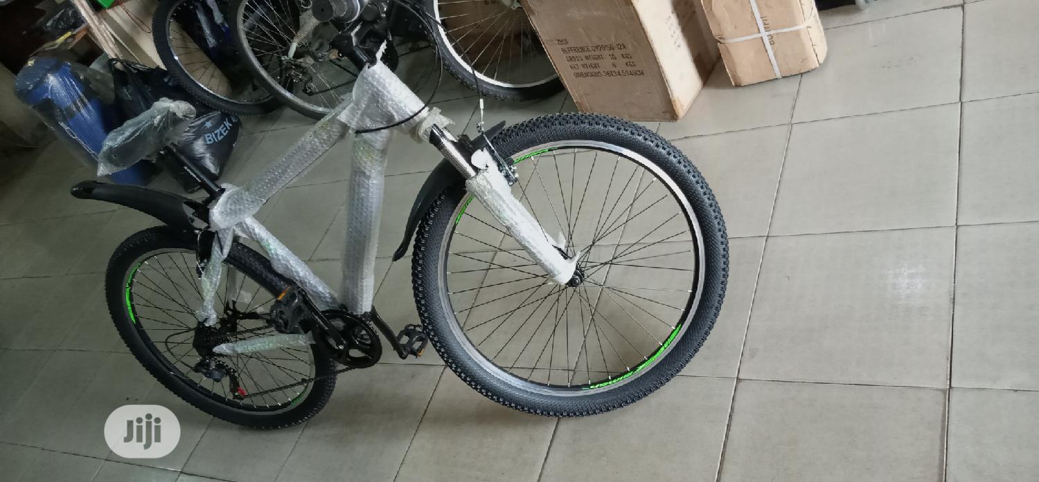 Adult Sports Bicycle