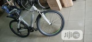 Adult Sports Bicycle