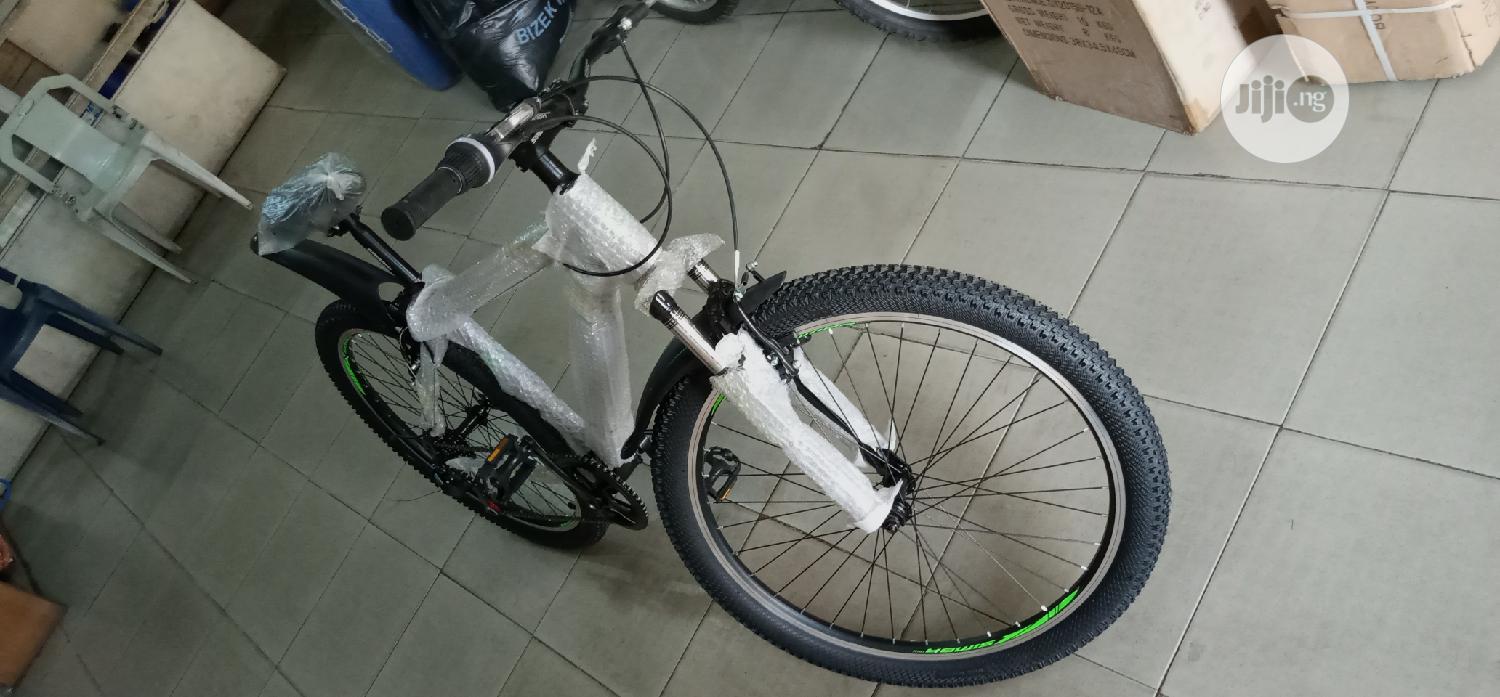 Adult Sports Bicycle