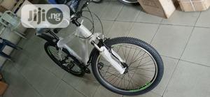 Adult Sports Bicycle