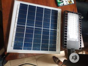 30w Flood Light With Lithium Battery