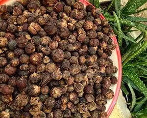 Gorontula Fruits 20 Pieces