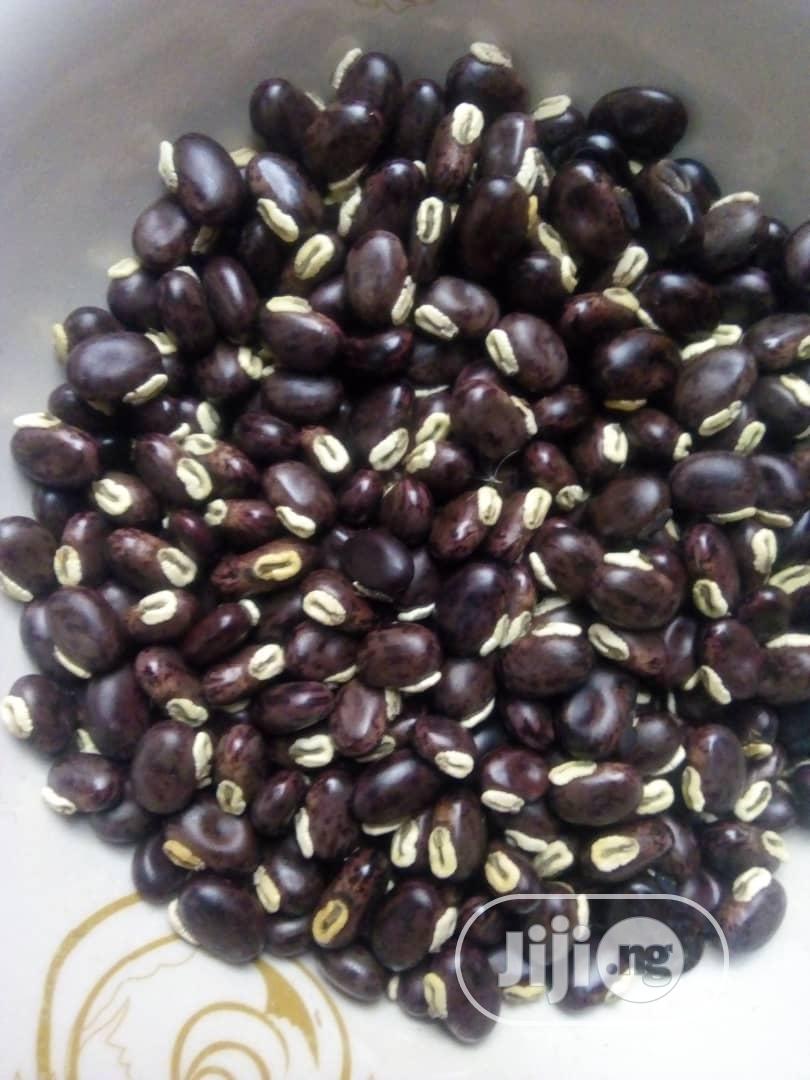 Mucuna Pruriens Seeds