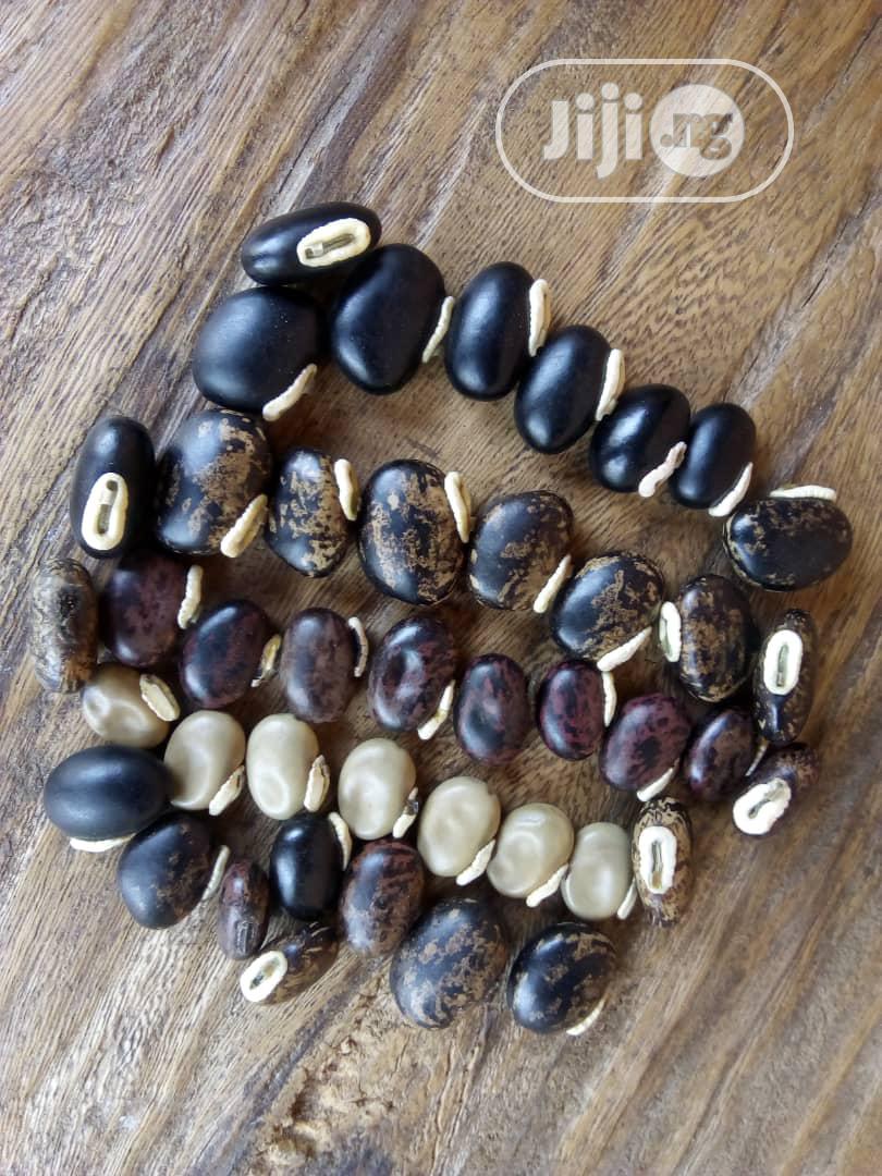 Mucuna Pruriens Seeds