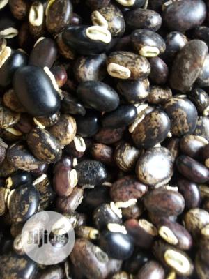 Mucuna Pruriens Seeds
