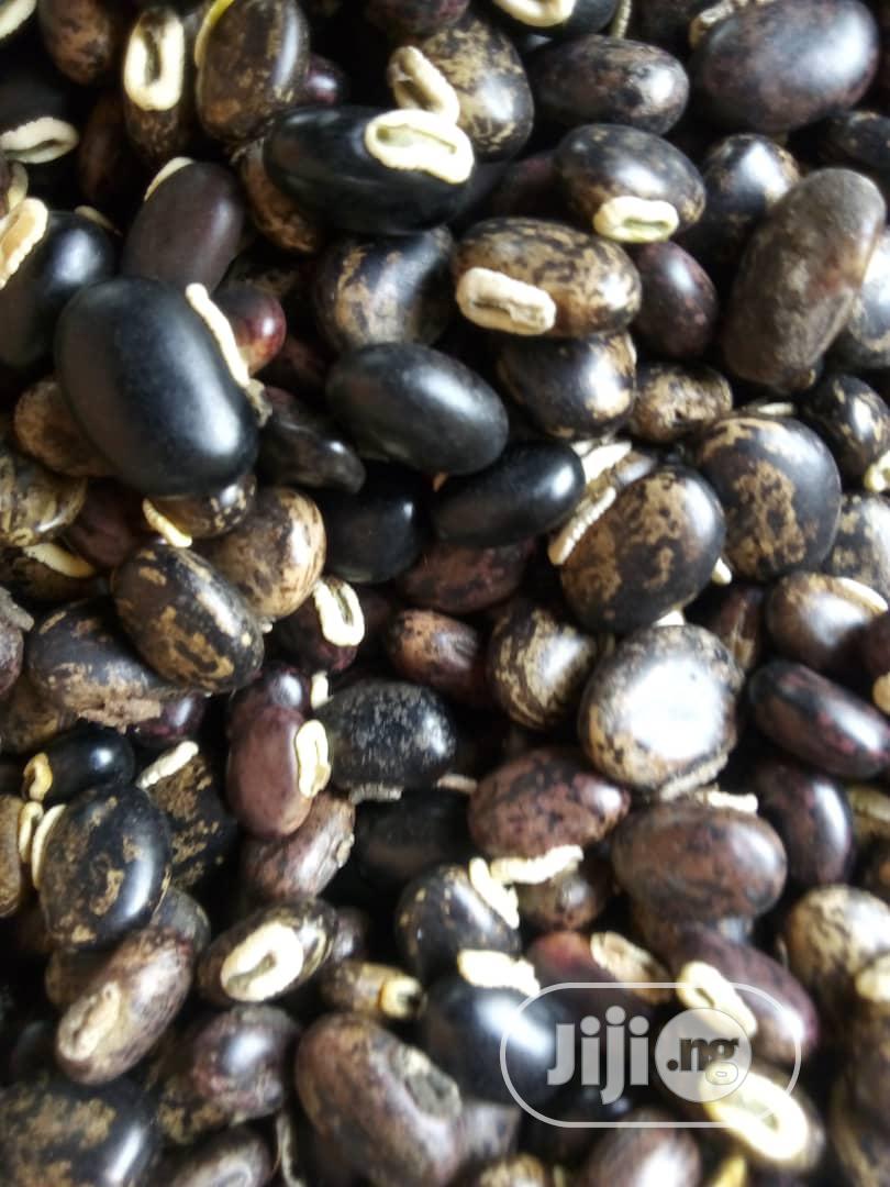 Mucuna Pruriens Seeds